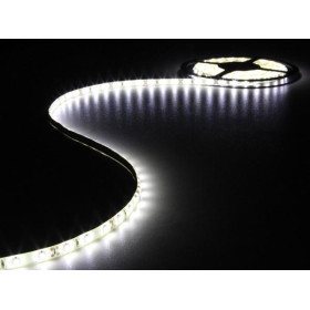 BANDE LED FLEXIBLE 3528 BLANC FROID 300 LEDS 5 METRES 12Vcc 12W 1A IP61