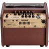 AMPLI ACOUSTIQUE 40W FISHMAN