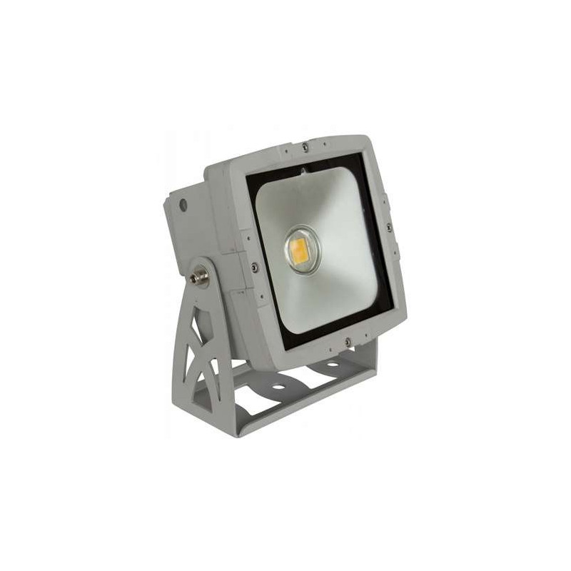 PROJECTEUR LED BLANC CHAUD INT/EXT LED COB 50W BRITEQ