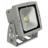 PROJECTEUR LED BLANC CHAUD INT/EXT LED COB 50W BRITEQ