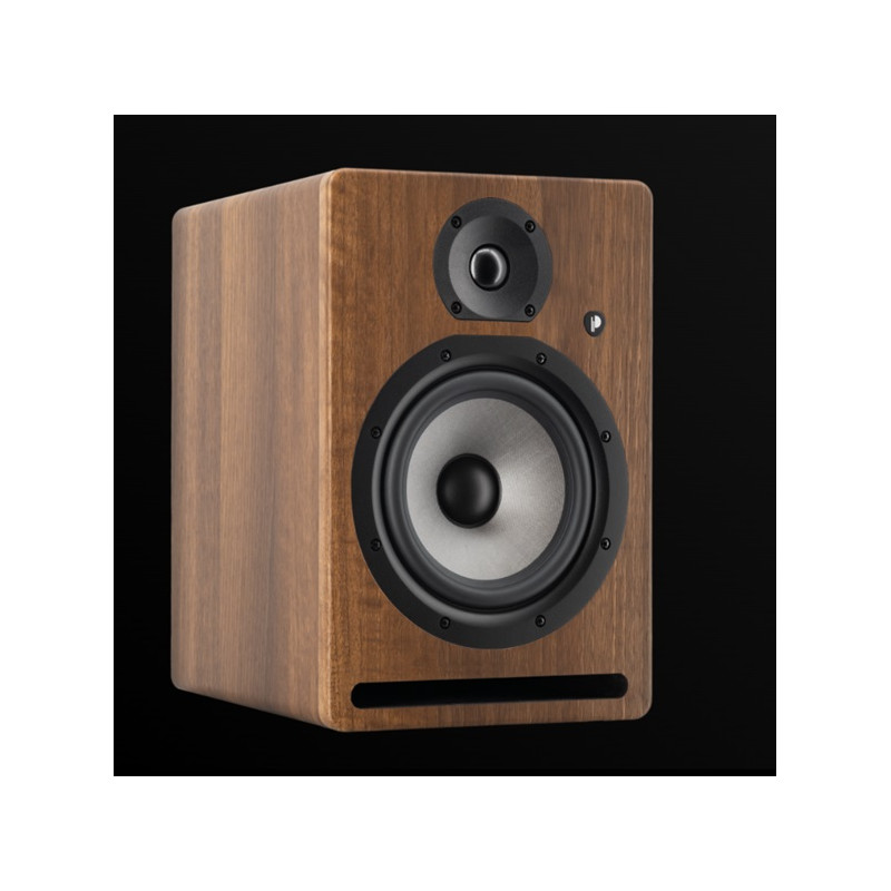 ENCEINTE MONITORING 6.5'' - 70+35 W BI-AMPLIFIEE Couleur WALNUT WOOD PRODIPE