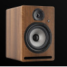 ENCEINTE MONITORING 6.5'' - 70+35 W BI-AMPLIFIEE Couleur WALNUT WOOD PRODIPE