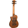 MINI BASSE FRETLESS ELECTRO ACOUSTIQUE LAG TKB150FCE