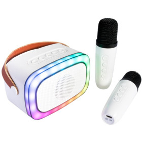 ENCEINTE KARAOKE PORTABLE AVEC 2 MICROS SANS FIL