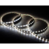 RUBAN LED 12V DC SMD2835 60LED 5 METRES BLANC FROID 6000K