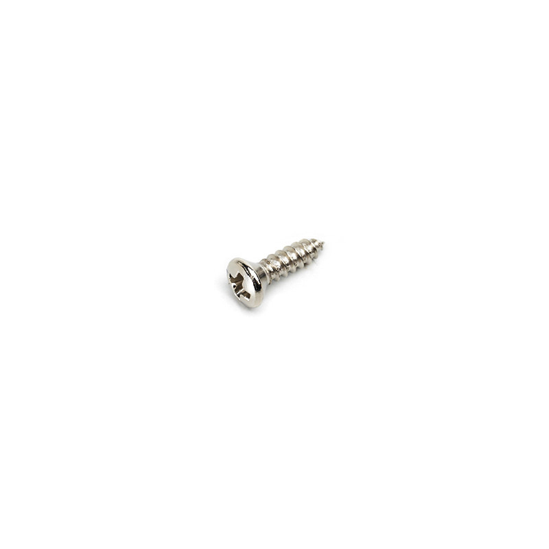 ALL PARTS® VIS PLAQUE DE PROTECTION TYPE GIBSON® NICKEL (20pcs)