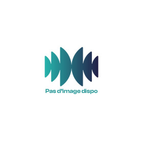 Carte préamplification pour ELOSUB15A
