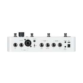 MOOER GS1000