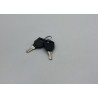 KEY SCAN POUR LASER SCAN1100 RGB IBIZA