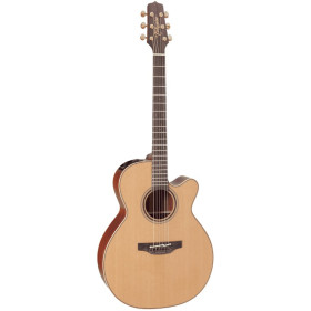 TAKAMINE P3NC