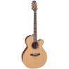 TAKAMINE P3NC