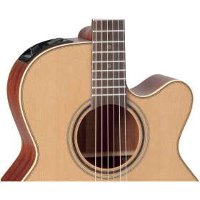 TAKAMINE P3NC