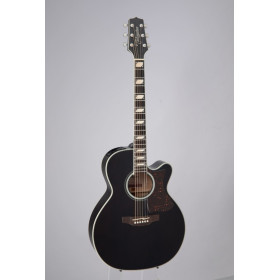 TAKAMINE GN73CE-SB