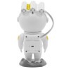 LASER NEBULEUSE STARMAN SUR BATTERIE BOOMTONE DJ