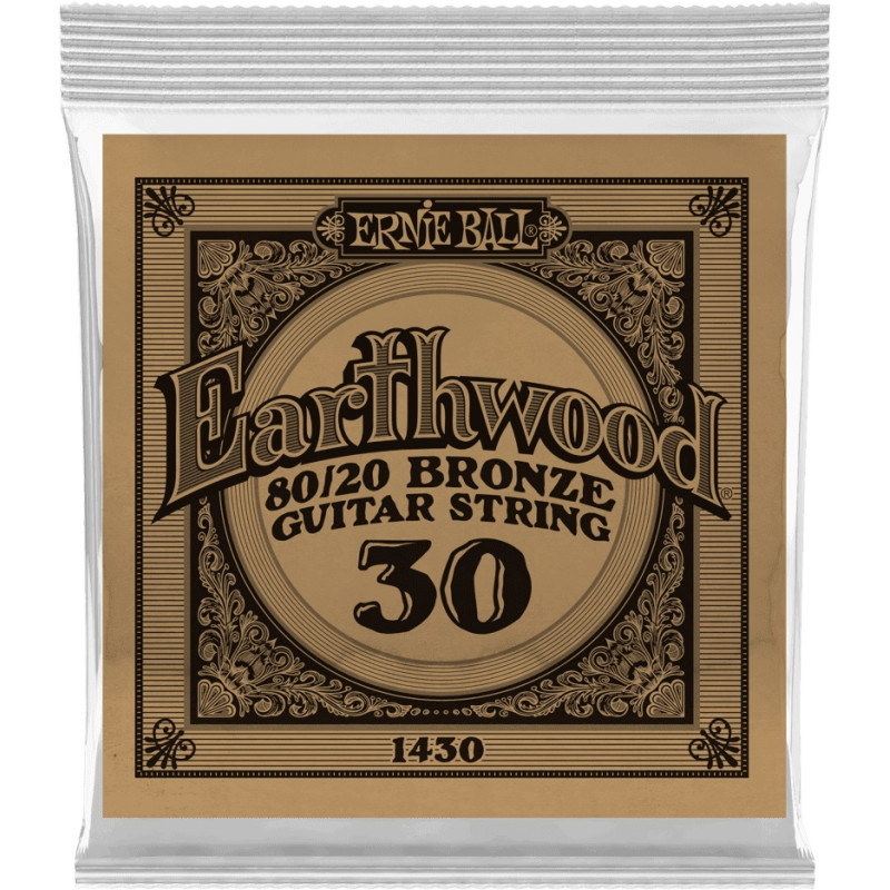 CORDE DETAIL SLINKY 030 BRONZE ERNIE BALL