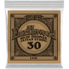 CORDE DETAIL SLINKY 030 BRONZE ERNIE BALL
