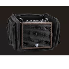 COMBO POUR INSTRUMENTS ACOUSTIQUES 120W PRODIPE