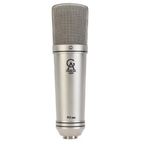 MICROPHONE A CONDENSATEUR LARGE MEMBRANE GOLDEN AGE AUDIO