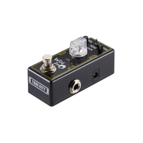 DISTORTION WILDFRO TONE CITY