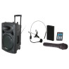 SYSTEME DE SONORISATION PORTABLE AUTONOME 38CM AVEC USB-MP3