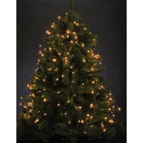 GUIRLANDE 12M 160 LEDS BLANC ARIZONA 24V