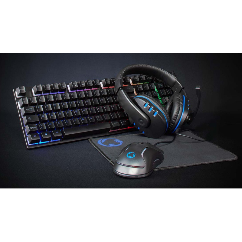 ENSEMBLE GAMER NEDIS