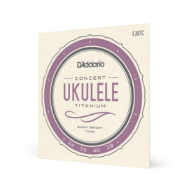 EJ87C TITANIUM UKULELE, CONCERT