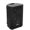 ENCEINTE SONO MOULEE PASSIVE 10"/25cm - 300W IBIZA