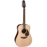TAKAMINE FT340BS
