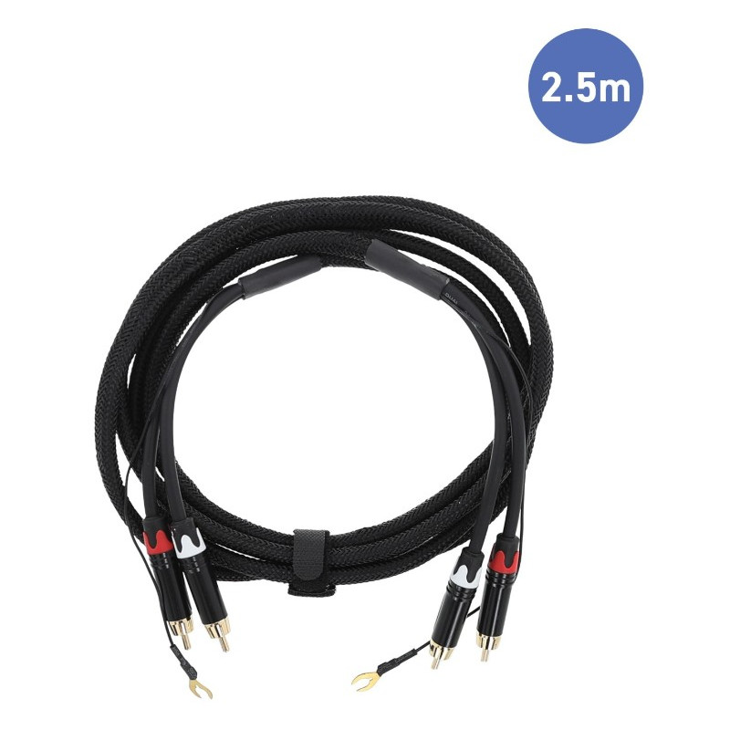 CORDON RCA MALE/ MALE2.5M+MASSE POWER STUDIO