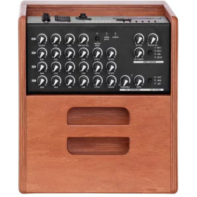 ACUS ONE FOR STRINGS 5 FERDI CHERRY