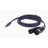 CORDON STEREO MINI JACK 3.5 MALE / 2 XLR MALE 3 METRES DAP AUDIO
