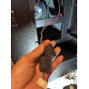Power Cord EU SUR ENCEINTE EVOLVE70/90 ELECTRO VOICE