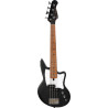ASHDOWN CAPRI23-GB