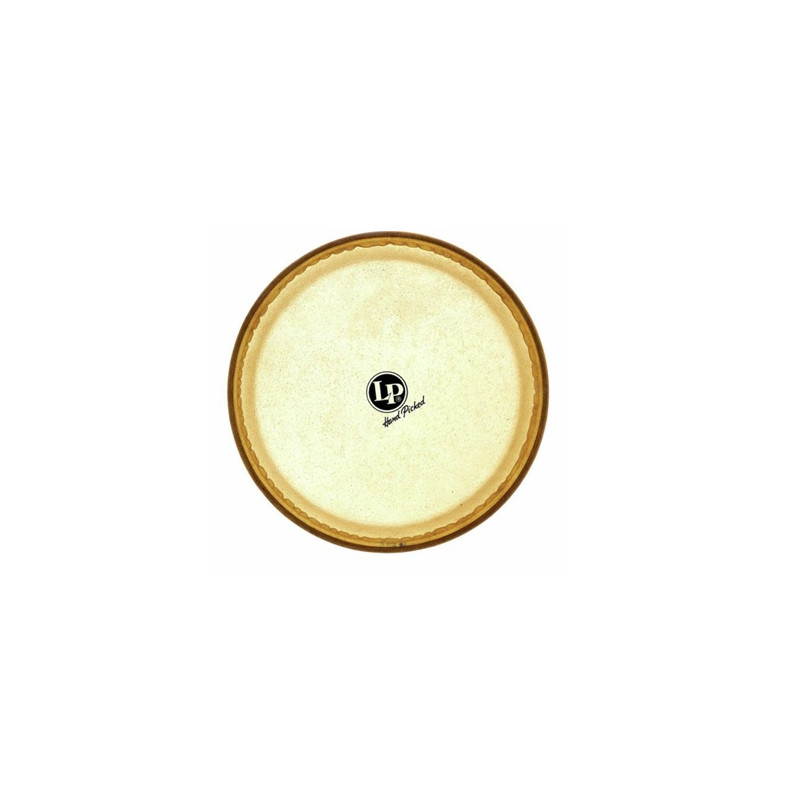 PEAU DE REQUINTO 9 3/4" LP