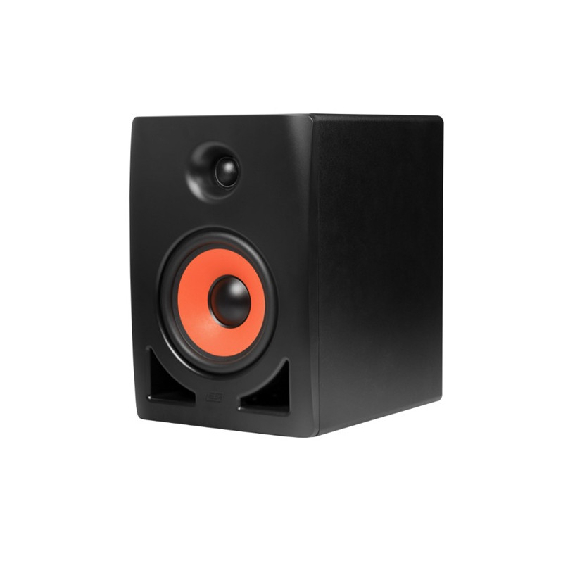 ENCEINTE DE MONITORING ACTIVE 2 VOIES 7" ESI