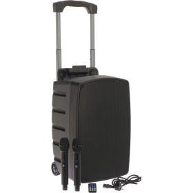 ENCEINTE TROLLEY 12'' 120W SUR BATTERIE 2 MICROS UHF BT